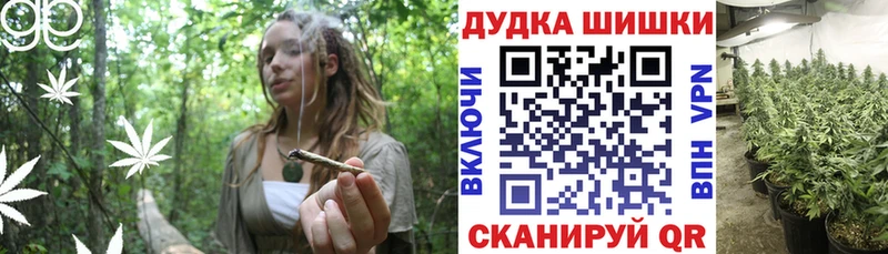 сколько стоит  Никольск  Бошки Шишки план 